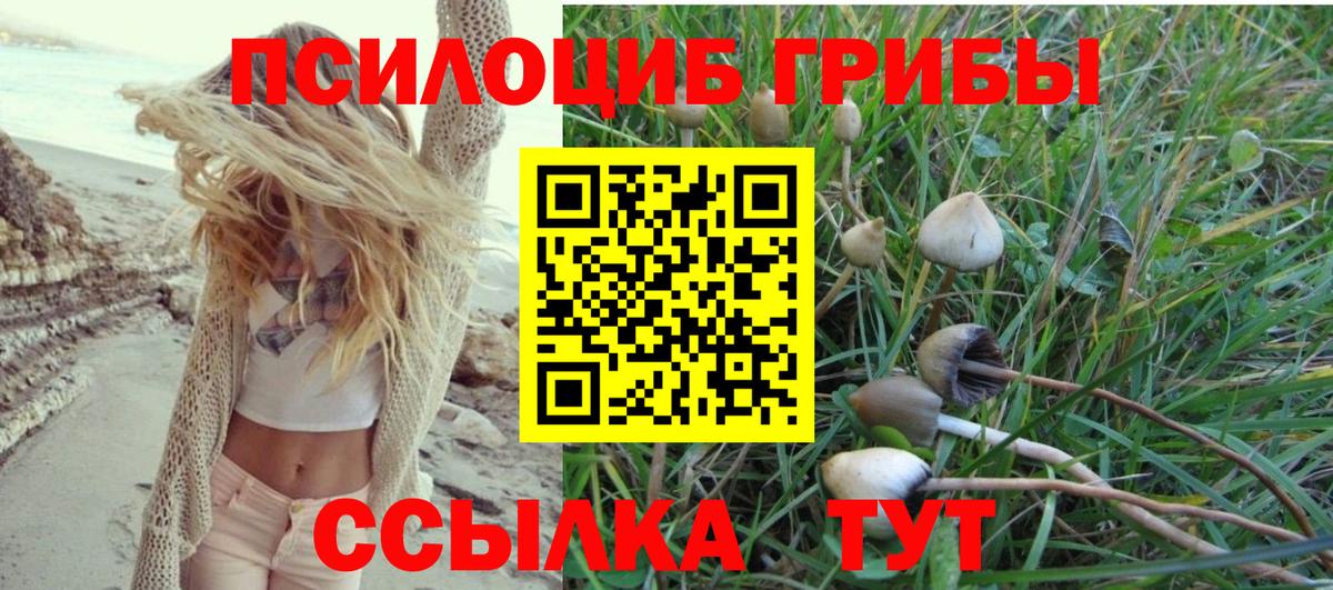 Псилоцибиновые грибы GOLDEN TEACHER  Псилоцибиновые грибы Magic Shrooms  как найти   Вход с VPN  Канаш 